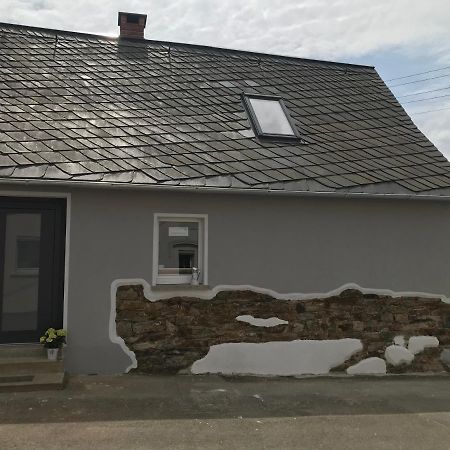 Pension Schneidenbach Reichenbach im Vogtland Exteriör bild