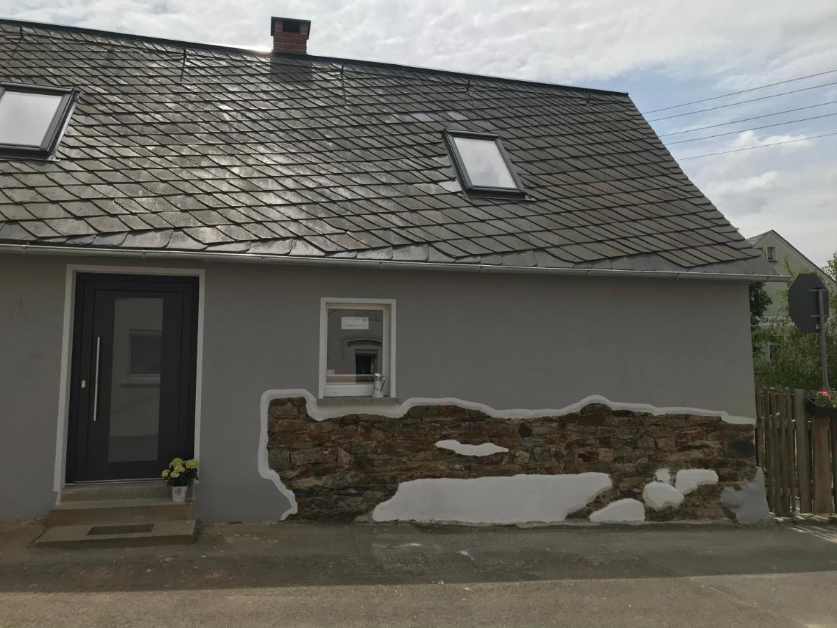 Pension Schneidenbach Reichenbach im Vogtland Exteriör bild